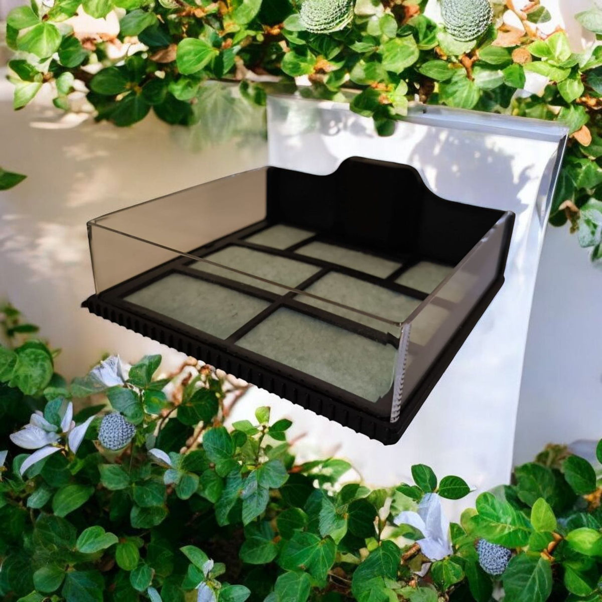 Aquariengarten_CapillaMoss_Aquagarden_5