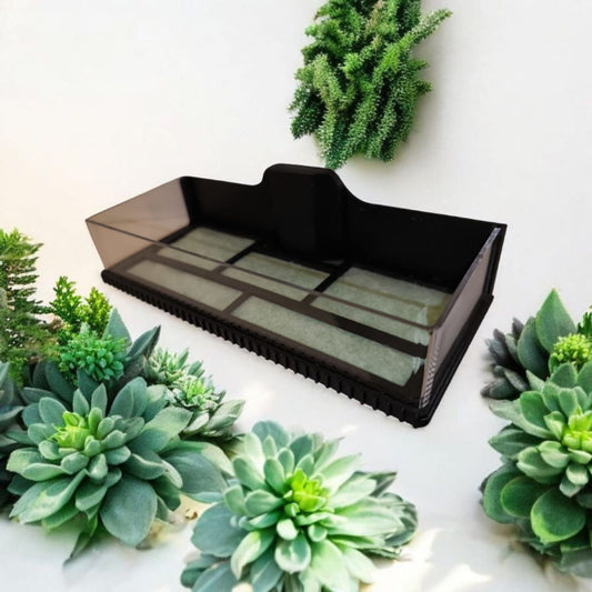 Aquariengarten_CapillaMoss_Aquagarden