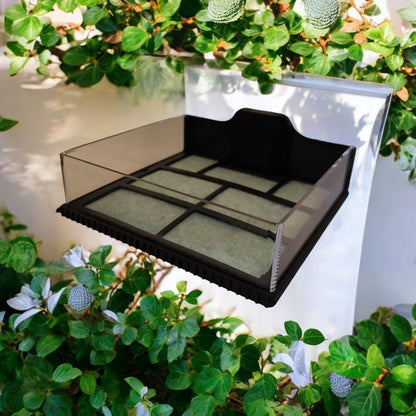 Aquariengarten_CapillaMoss_Aquagarden_5