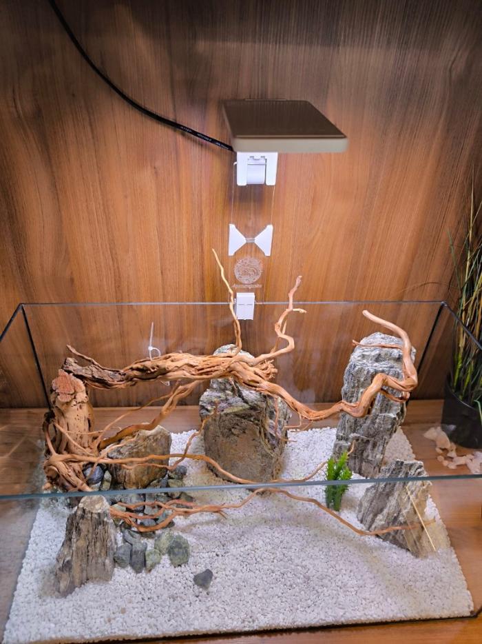 Auarium mit einer Lampenerhöhung von Aquariengarten