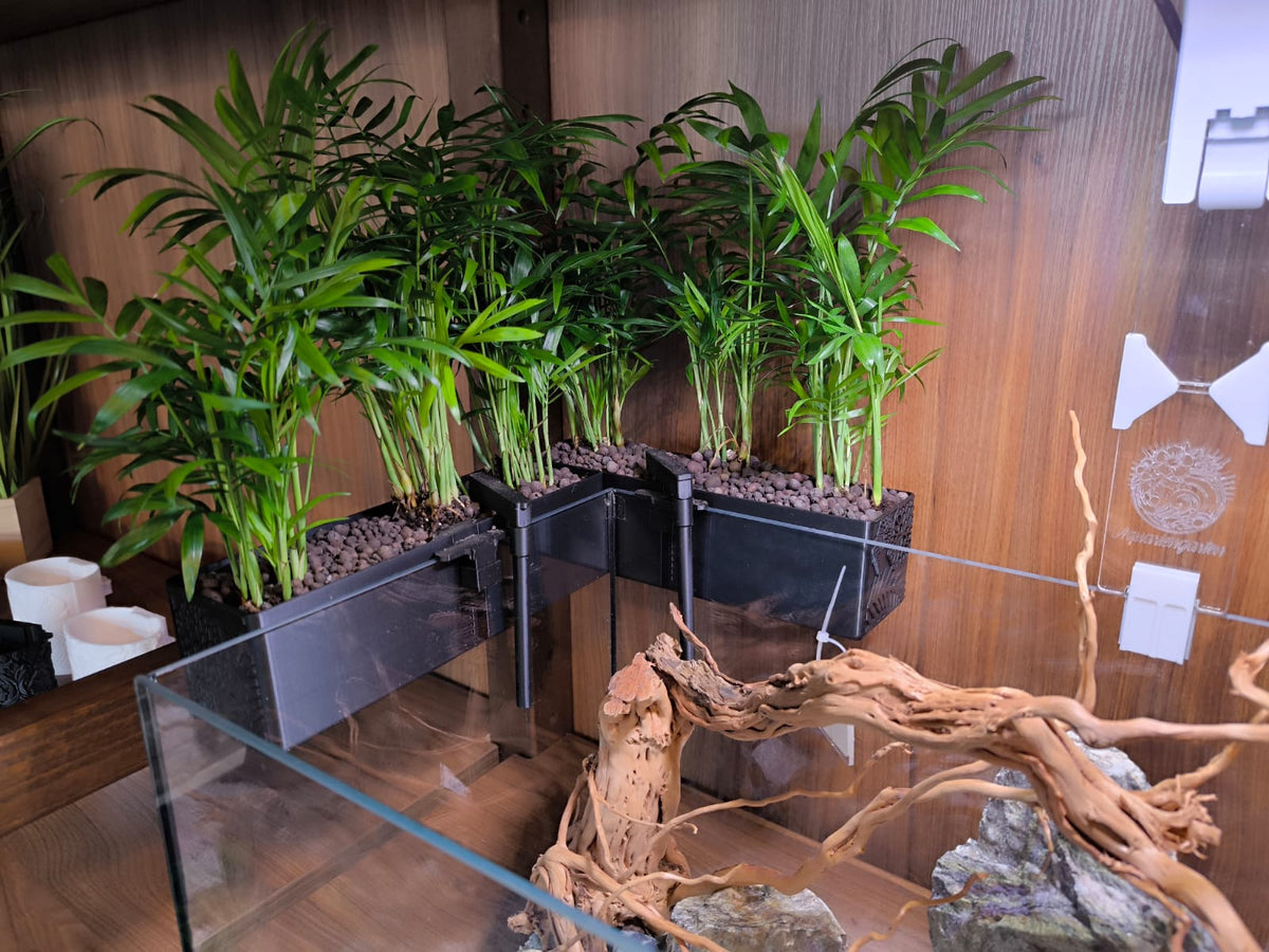 CapillaBalcony_bepflanzt_beispiel_4