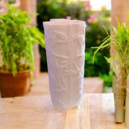 CapillaBamboo Lucky Bamboo Vase von Aquariengarten in weiß