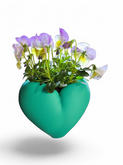 CapillaHeart_CapillaPonic_Aquariengarten_bepflanzt3