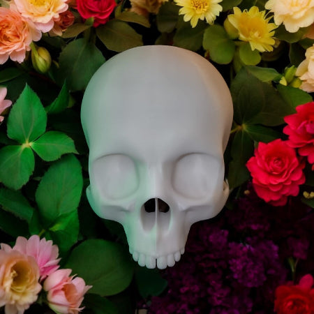CapillaSkull Totenkopfvase von Aquariengarten front