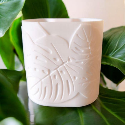 CapillaPonic kapillarvase Monstera Leafs 9