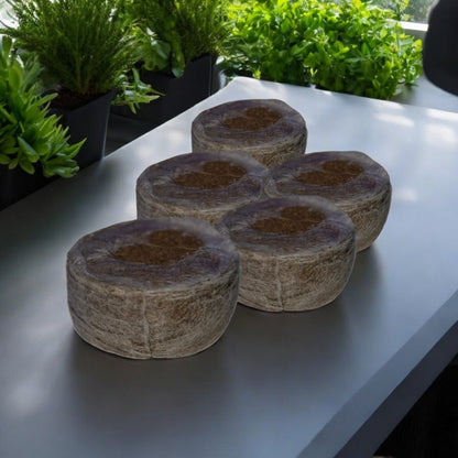 Kokosquelltabs (passend zu CapillaGrow Anzuchtsystemen)